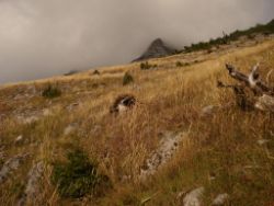 2013-10-08_Guffert (027).JPG